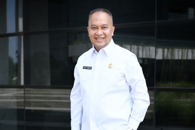 Profil Velix Wanggai, Pimpinan Komite Pembangunan Papua